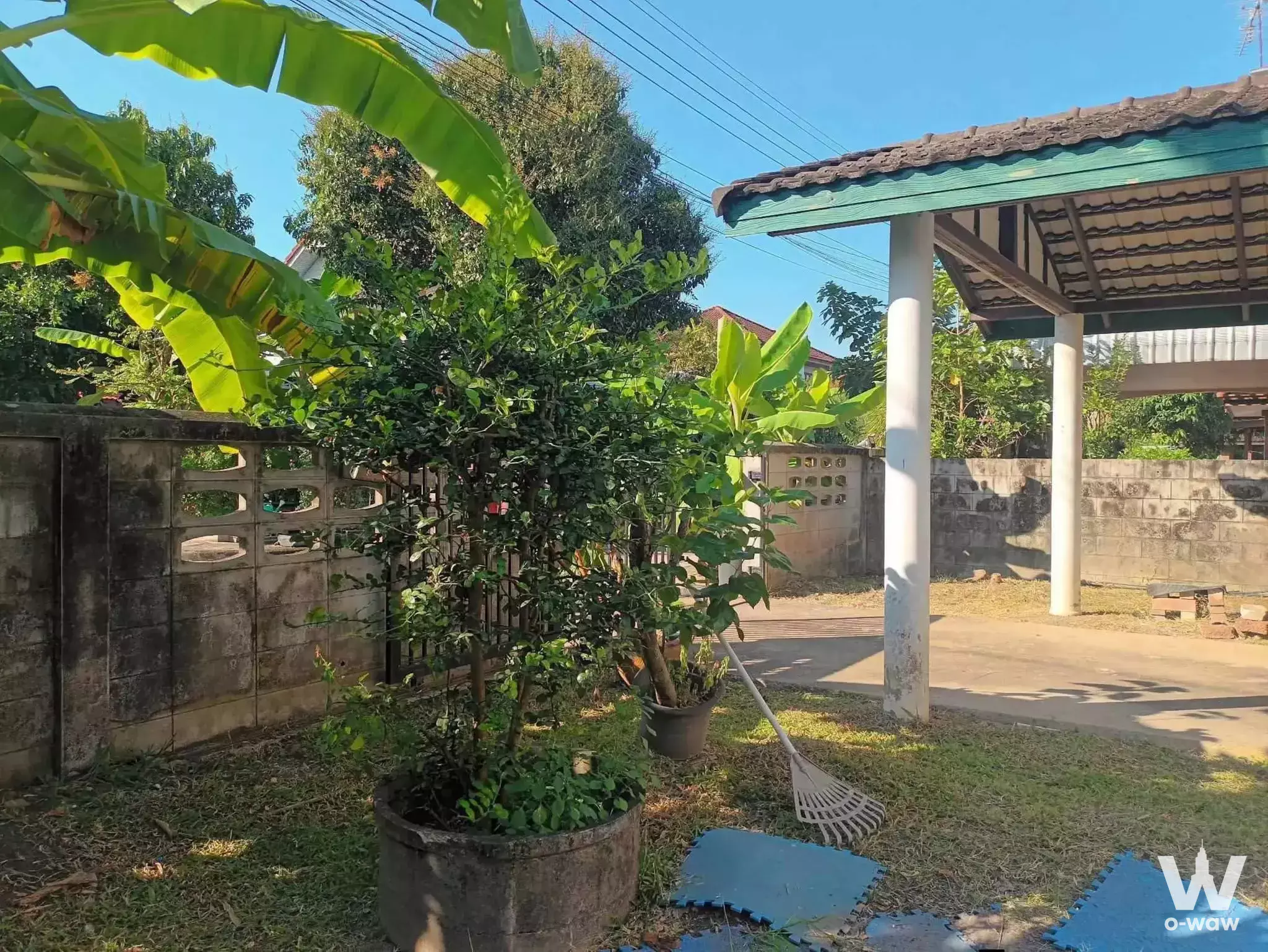 Courtyard of 3-bed house for sale in Sammakorn Nimitmai with potted plants and covered carport