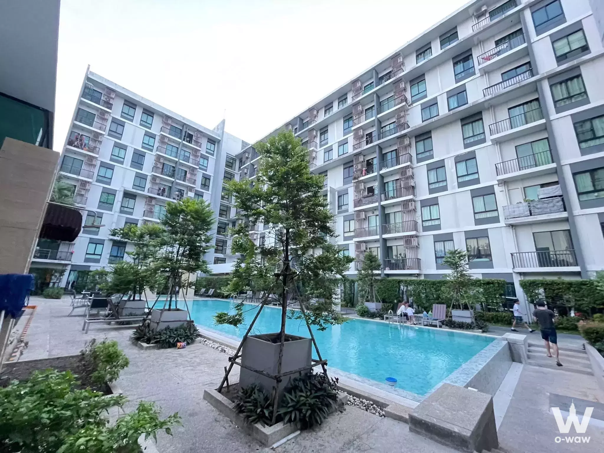 Modern Supalai Park Khaerai-Ngamwongwan condo courtyard with turquoise pool and landscaped patio for sale
