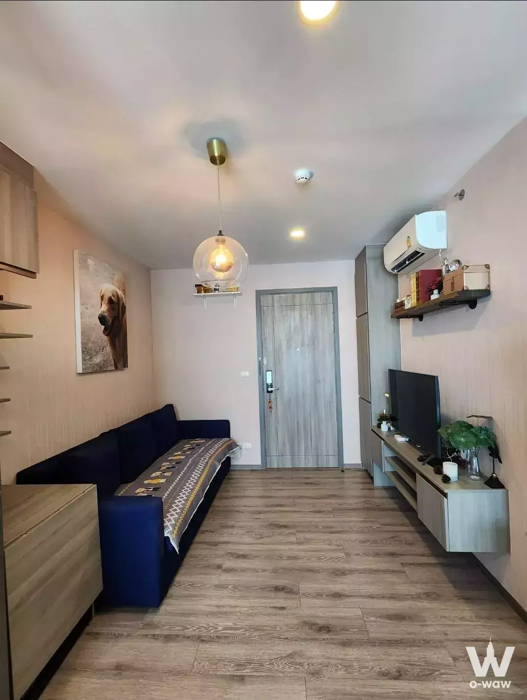 Furnished living area with blue sofa, pink walls, and modern lighting in Knightsbridge Collage Sukhumvit 107 condo