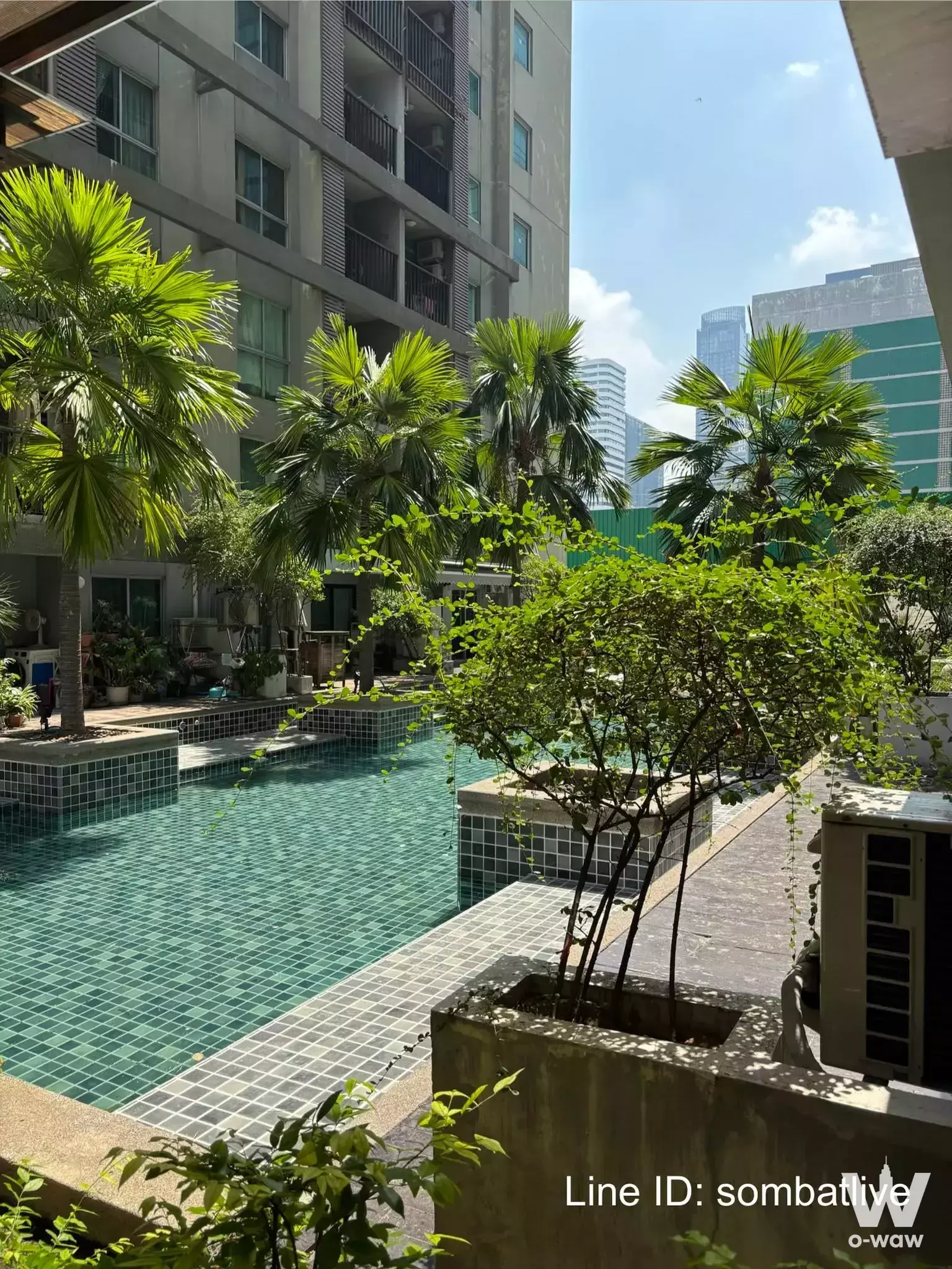 Turquoise-tiled communal pool with palm trees at A Space Condominium 1-bed for sale in Bangkok