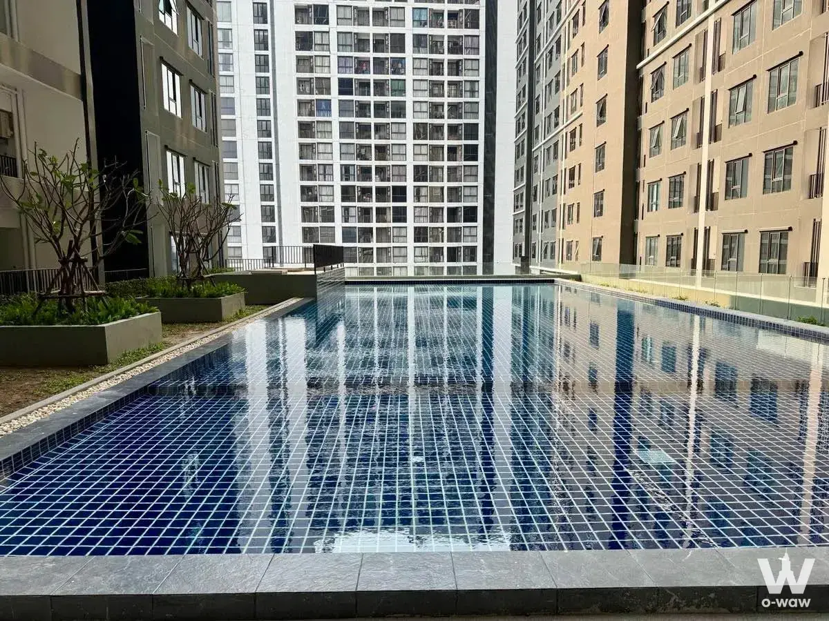 Rectangular lap pool with dark blue mosaic tiles and glass railing in the Regent Home Wutthakat courtyard