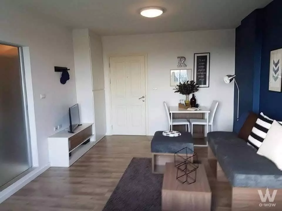 Modern living area with navy feature wall and grey sofa in 1-bed condo for sale at dcondo Campus Resort Rangsit