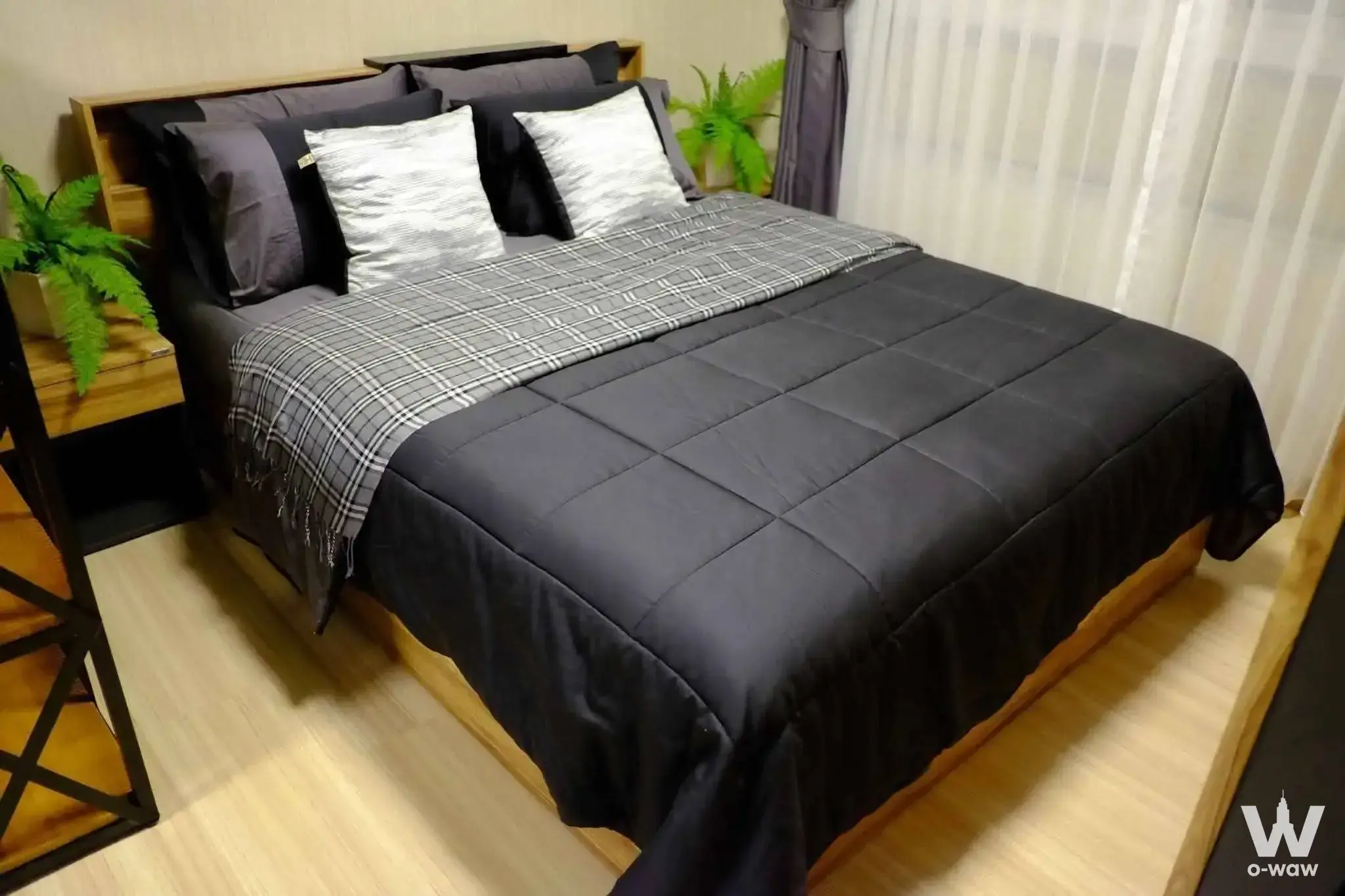 Condo with 1 bedroom for rent at PLUM Condo Phaholyothin 89 — photo 1 of 5