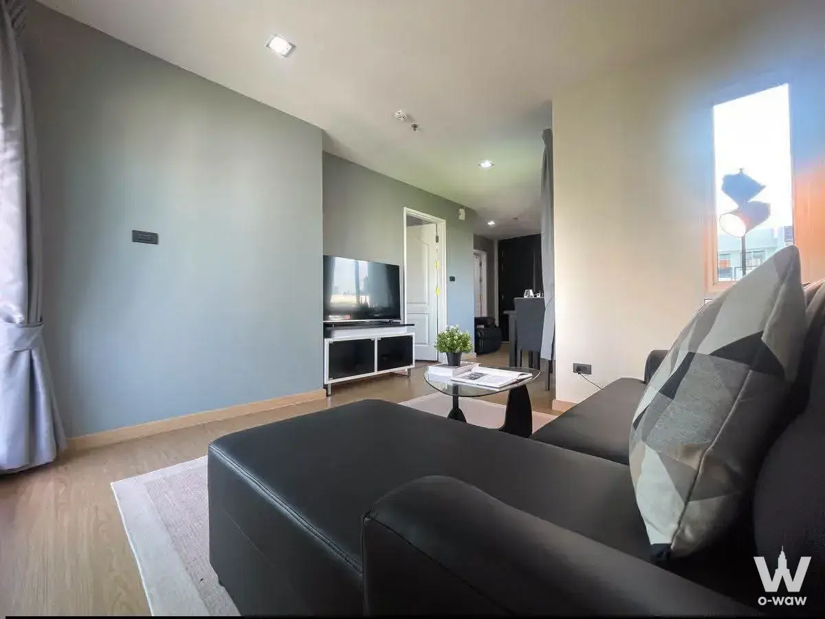 Minimalist living area featuring a charcoal leather sectional and sage green accent wall