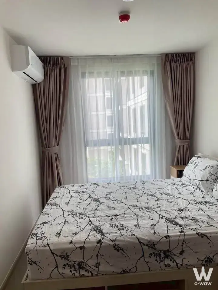 Modern bedroom in 1-bed condo for rent at Good Day Sukhumvit 93 with queen bed and floor-to-ceiling windows