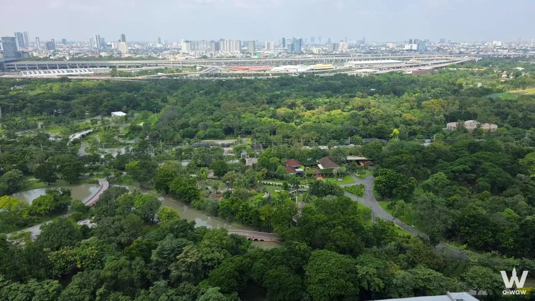 High-rise view of lush green park canopy winding pathways and distant urban skyline
