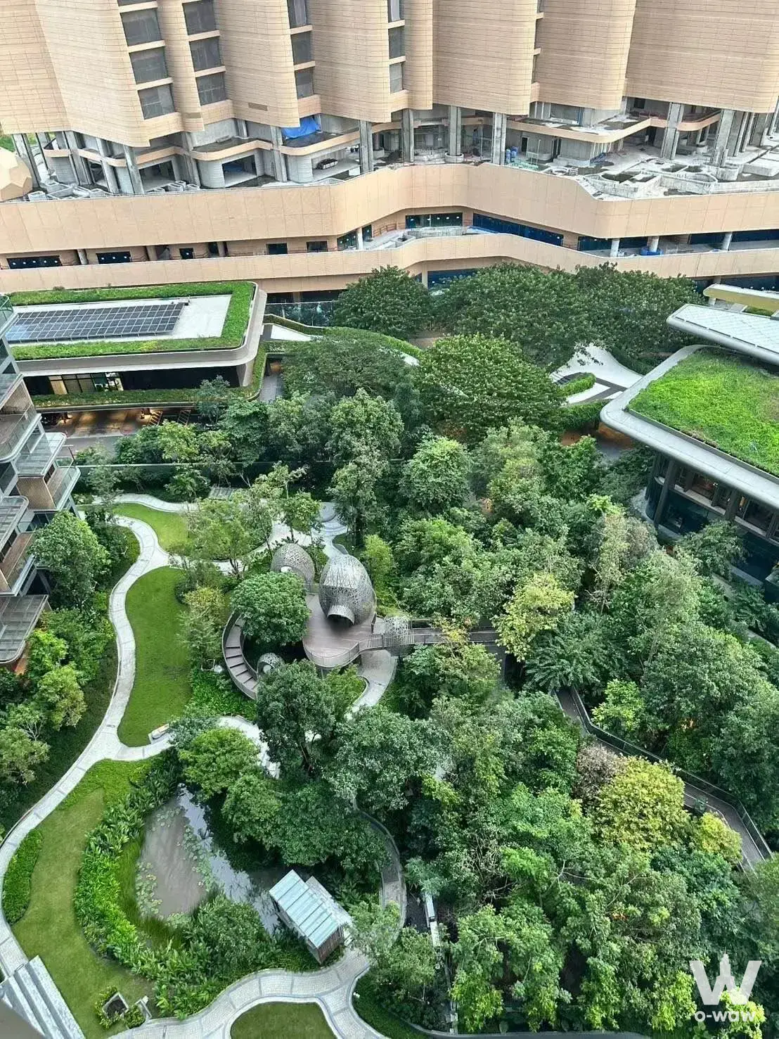 Condo with 1 bedroom for rent at Whizdom The Forestias — photo 1 of 5