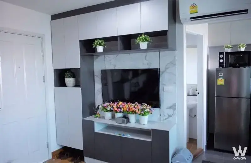 Modern studio living area with built-in entertainment unit, open shelving with plants, and view into kitchenette
