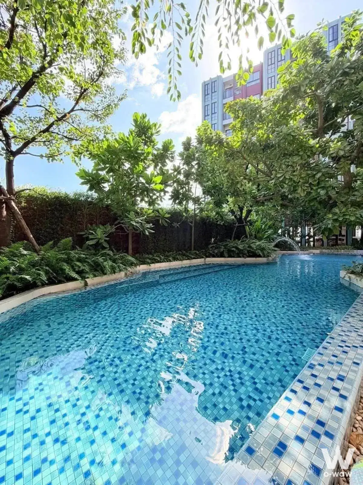 Resort-style outdoor pool with tropical landscaping at The Base Bukit Phuket condo