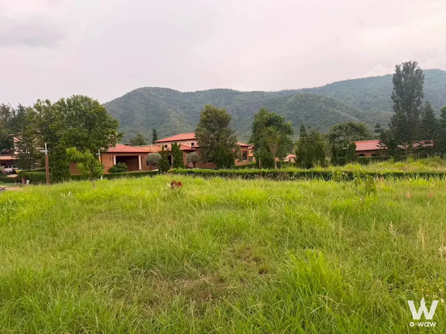 House for sale at Toscana Valley — photo 1 of 4
