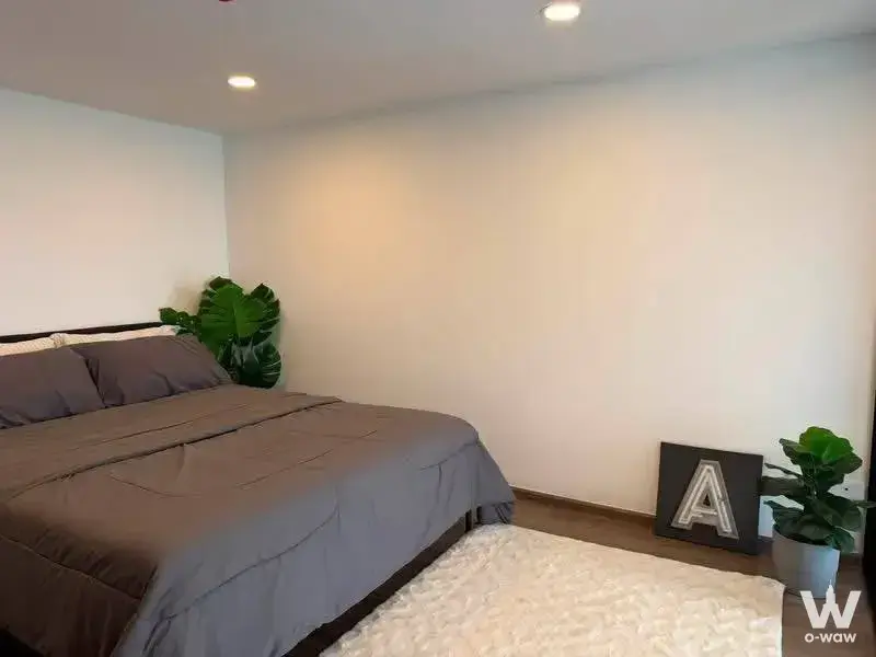 Minimalist bedroom with dark wood bed frame, grey bedding, and decorative plants in this modern rental unit