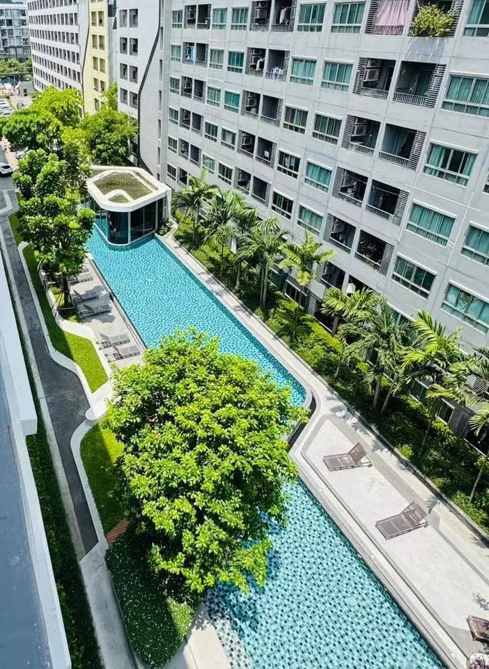 Blue mosaic pool and lounge chairs at Elio Sukhumvit 64 condo
