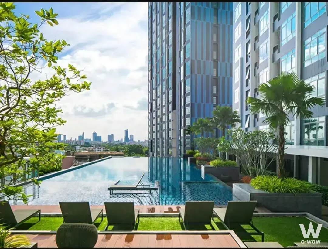 Rooftop infinity pool at Metro Sky Prachachuen 2-bed condo with wooden decking and tropical landscaping