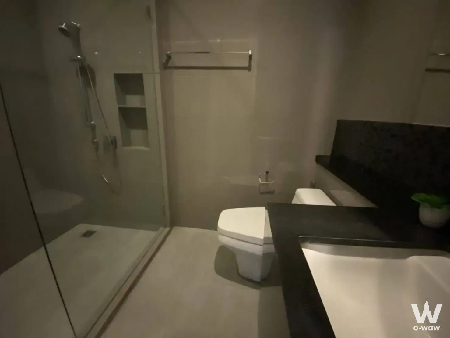 Modern bathroom with walk-in glass shower, white toilet, and dark stone vanity countertop