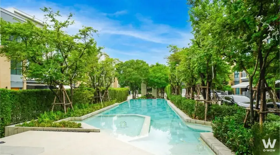 Rectangular lap pool surrounded by lush greenery in a 4-bed townhouse for rent at Estara Haven Phatthanakan 20