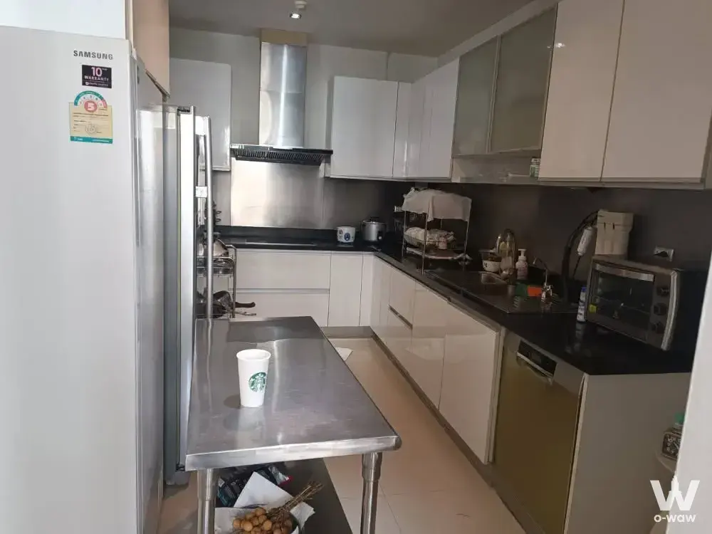 Domus 18 kitchen featuring white handleless cabinets, black granite counters, and stainless steel appliances