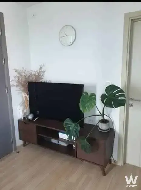 Condo with 1 bedroom for rent at THE BASE Rama 9-Ramkhamhaeng — photo 4 of 5
