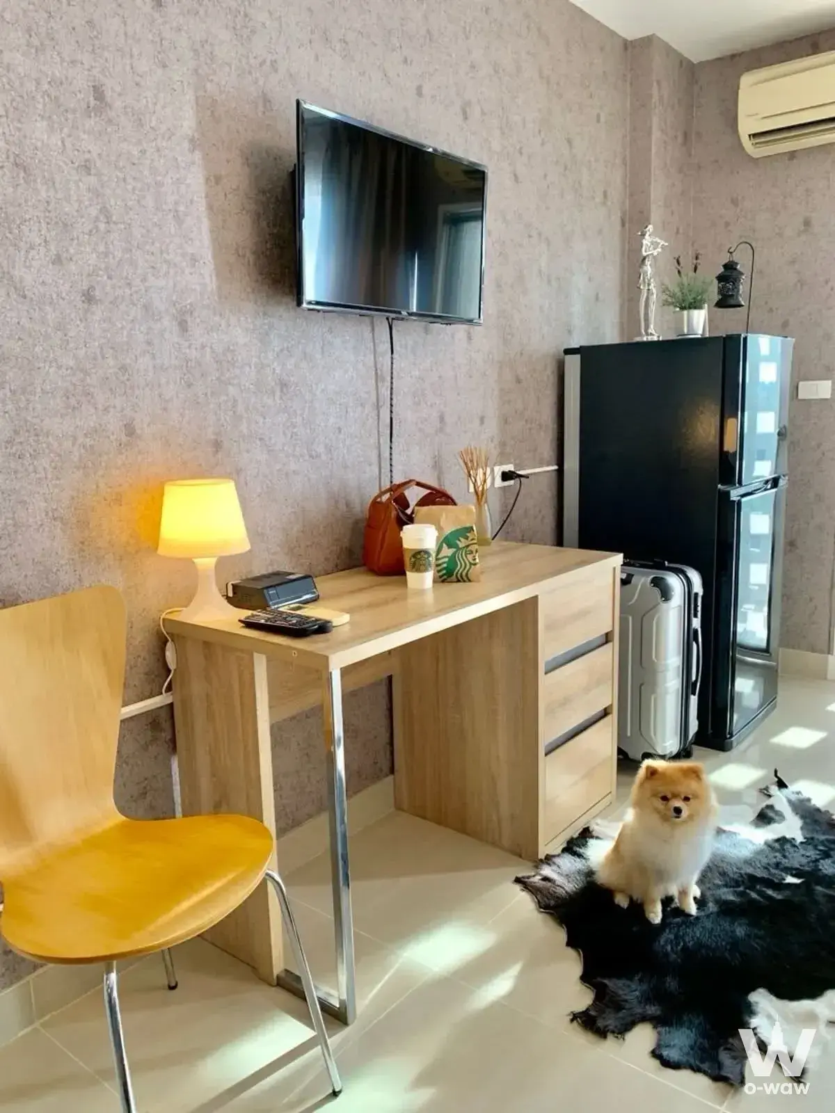 Cozy corner in an i-House Laguna Garden RCA house with a wood desk and a small Pomeranian on the rug
