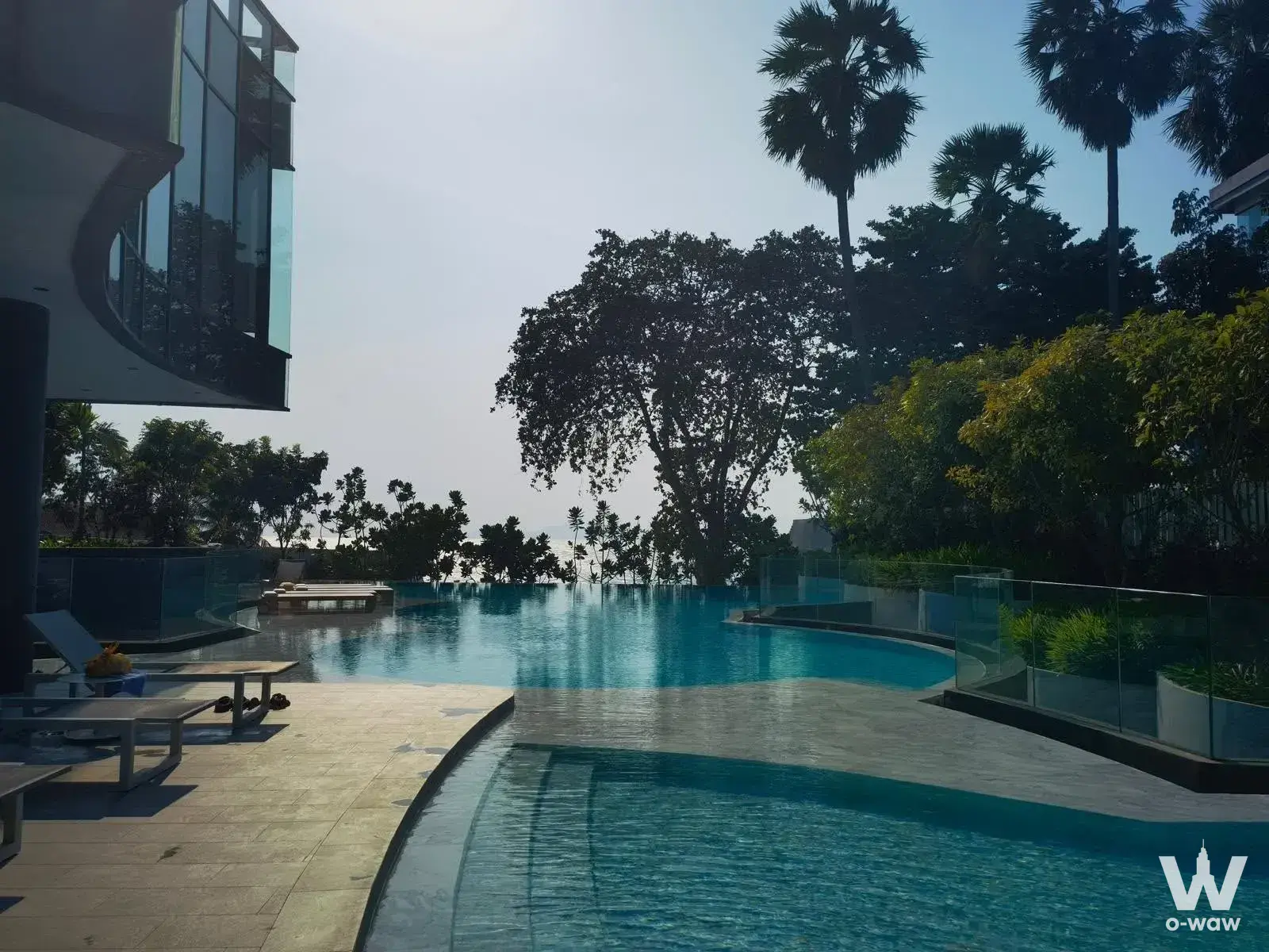 Curved infinity pool with turquoise water and palm trees on the rooftop of AROM WONGAMAT 1-bed condo for rent