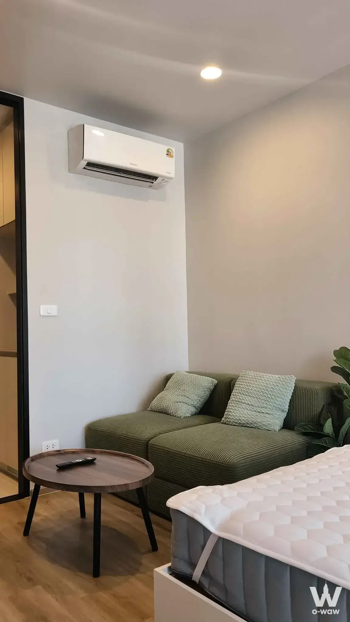 Studio bedroom in Culture Thonglor featuring an olive-green corduroy sofa, white platform bed, and potted plant
