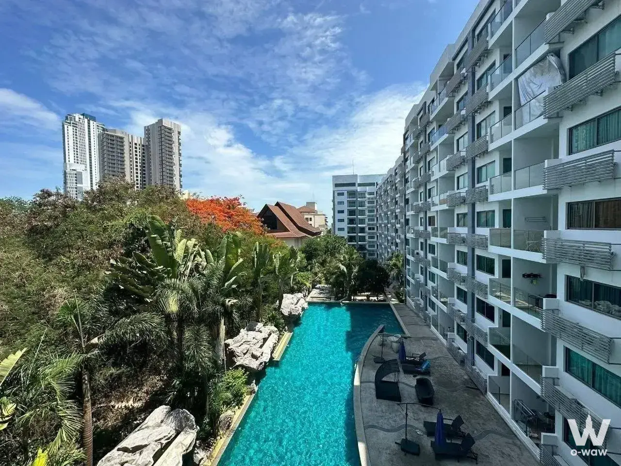 Turquoise lap pool surrounded by tropical landscaping at Club Royal Condominium