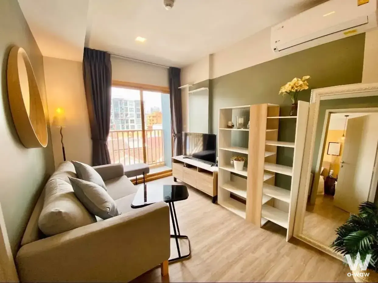 Light-grey sofa and olive accent wall in this 1-bed condo for rent at THE BASE Sukhumvit 50