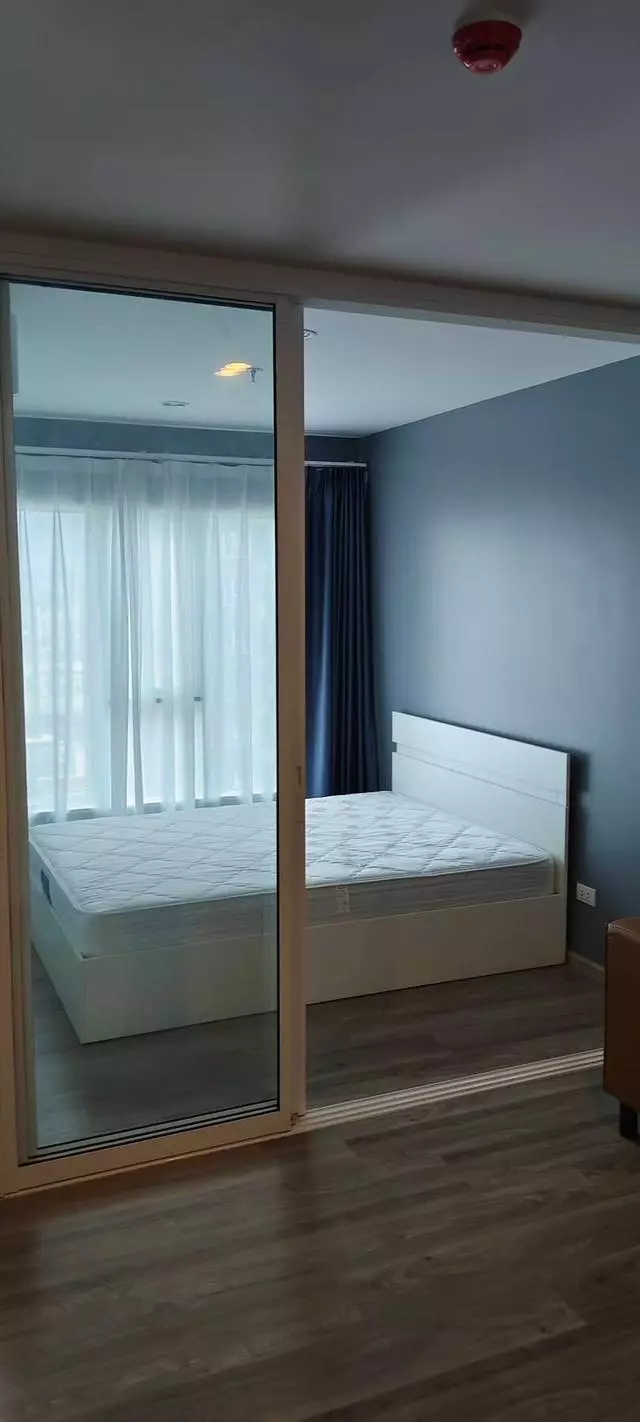 Minimalist bedroom in Regent Home Bangna featuring a queen bed and grey walls