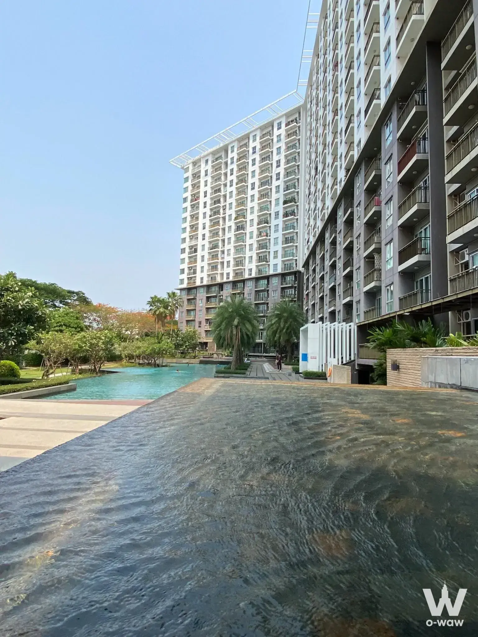 Condo with 1 bedroom for rent at The Parkland Srinakarin Lakeside — photo 1 of 5