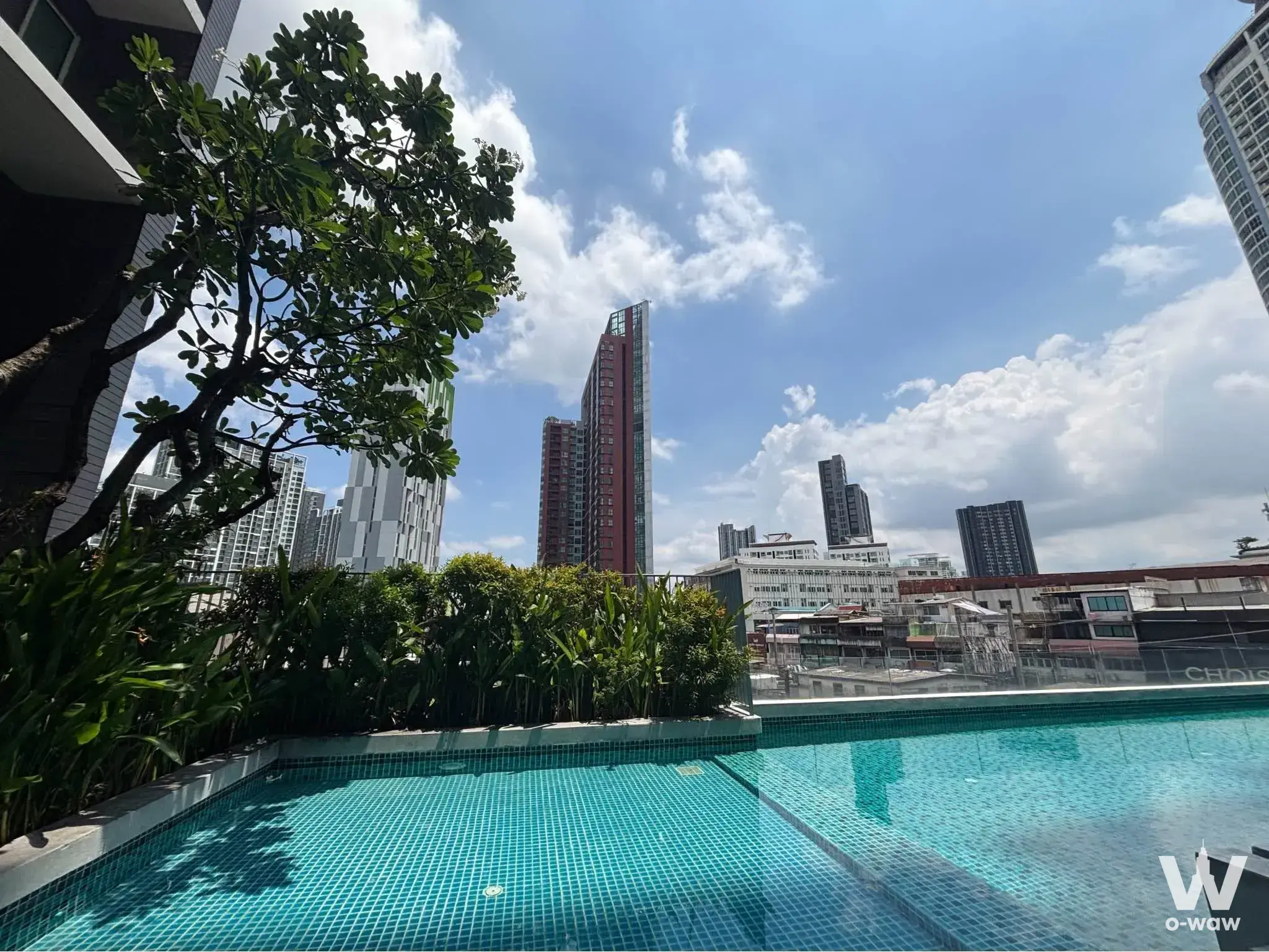 Rooftop lap pool at The Bloom Sukhumvit 71 surrounded by lush tropical greenery and high-rise views