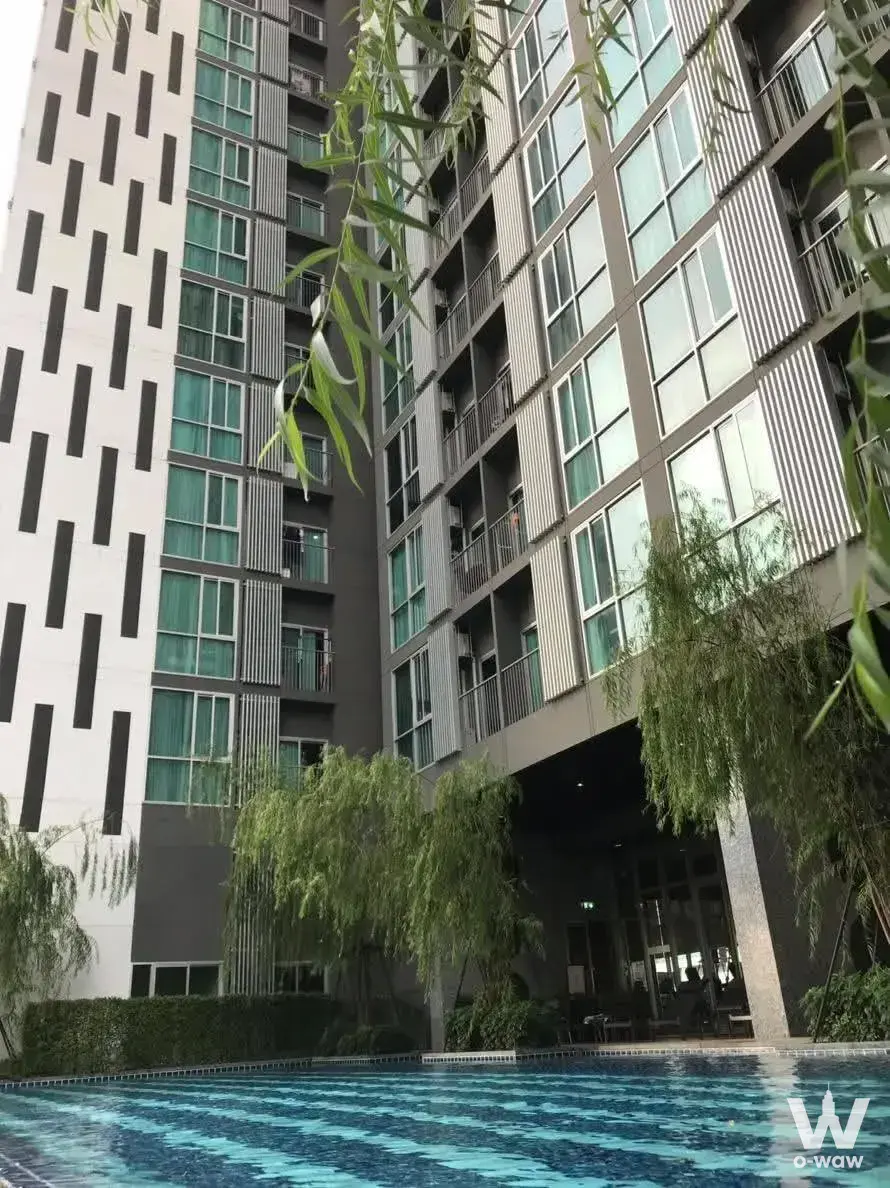Condo with 1 bedroom for rent at Noble Revolve Ratchada 1 — photo 3 of 4