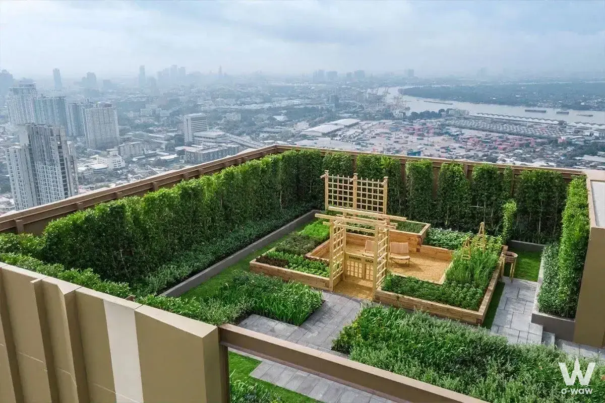 Rooftop garden terrace at Oka Haus with lush greenery, pergola seating, and city skyline views