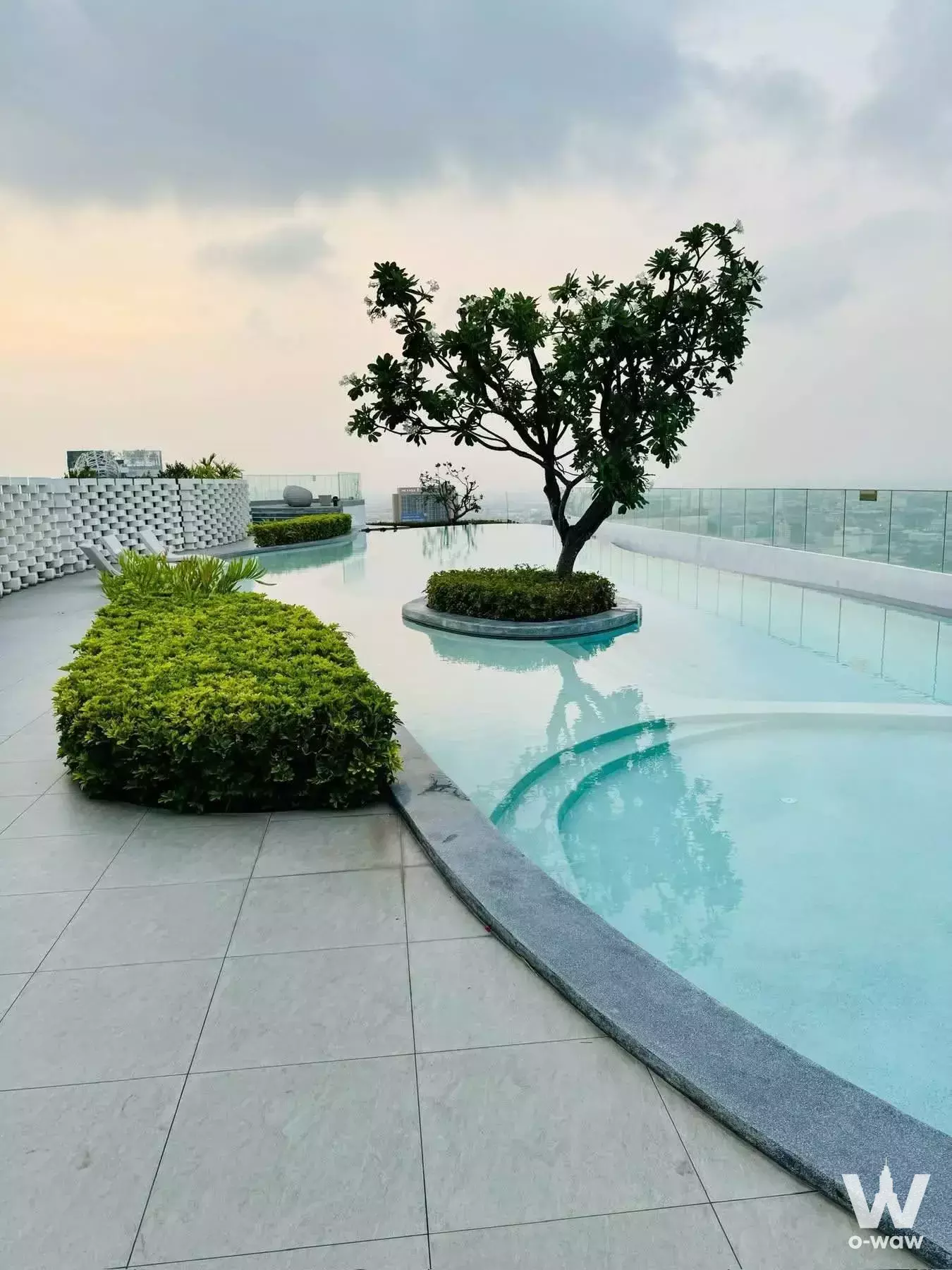 Rooftop infinity pool at The Tree Sukhumvit 71-Ekamai with turquoise water, glass railings, and distant city skyline views