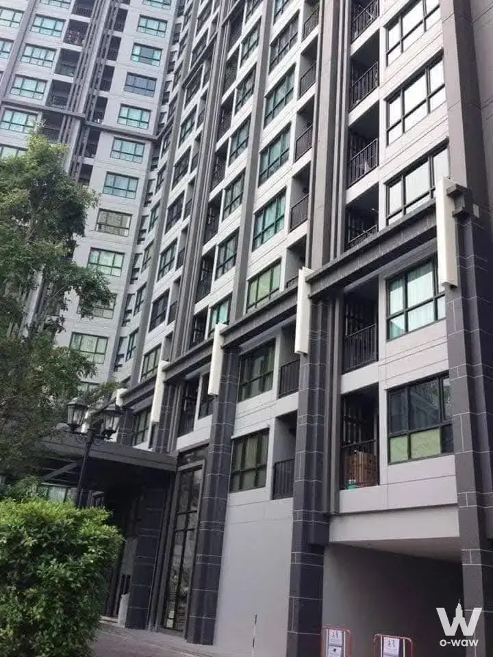 Condo with 1 bedroom for rent at THE BASE Park West - Sukhumvit 77 — photo 3 of 5