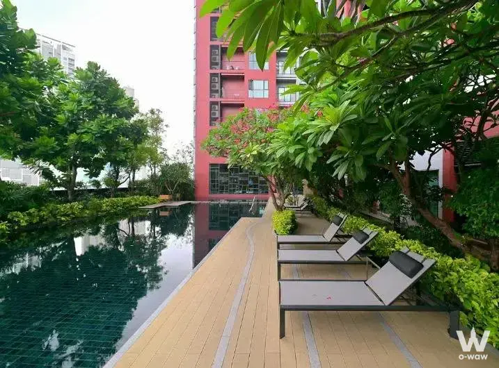 Rooftop lap pool with lounge chairs and tropical greenery at WYNE by Sansiri 2-bed condo for rent