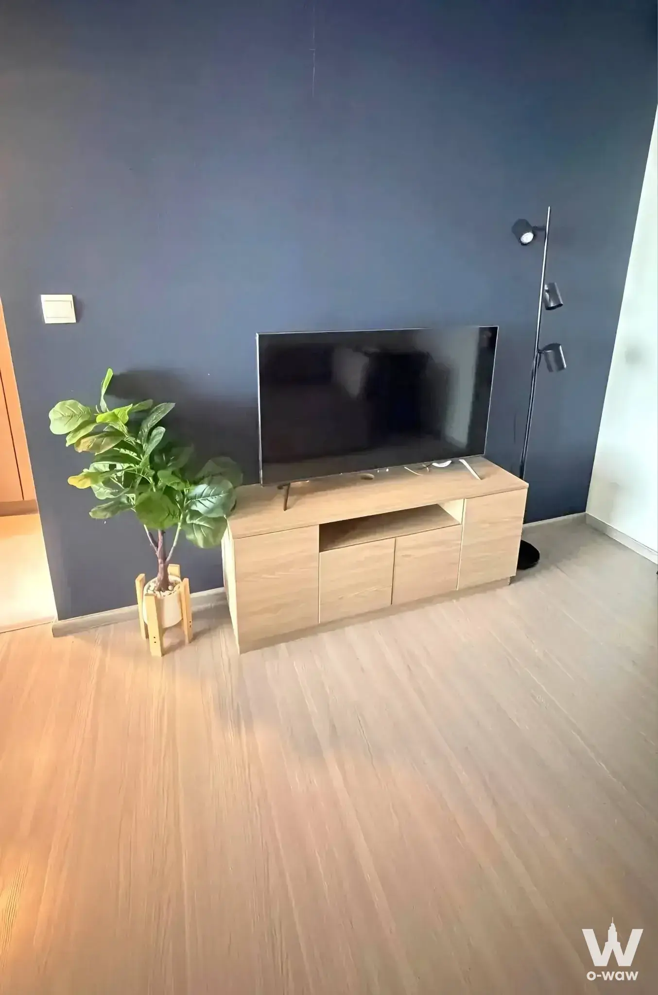 Minimalist living room in The Privacy S101 with a navy accent wall, oak flooring, and modern media console