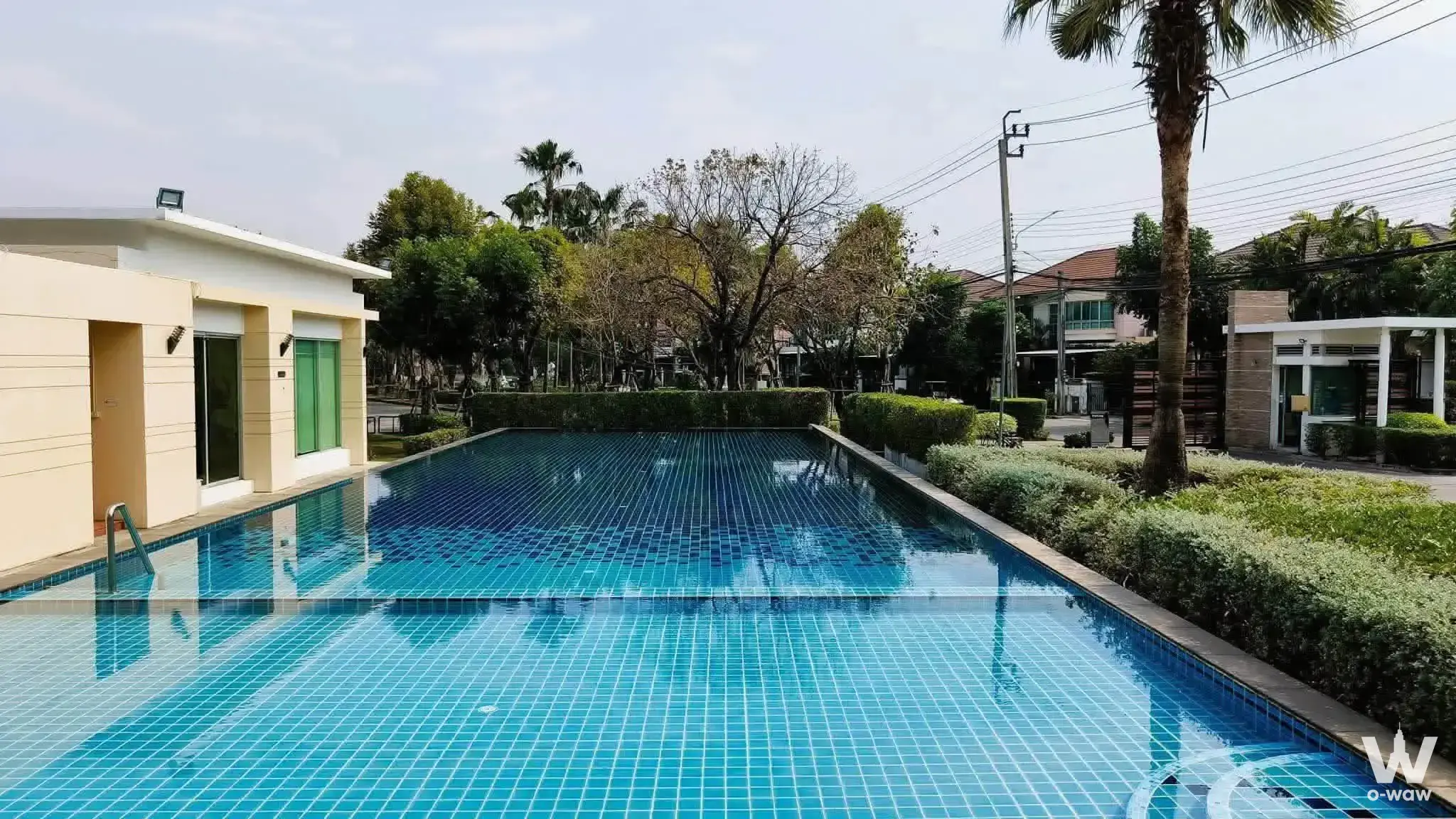 Outdoor pool with blue mosaic tiles and palm trees at this 4-bed house for rent in Life Bangkok Boulevard Ramintra
