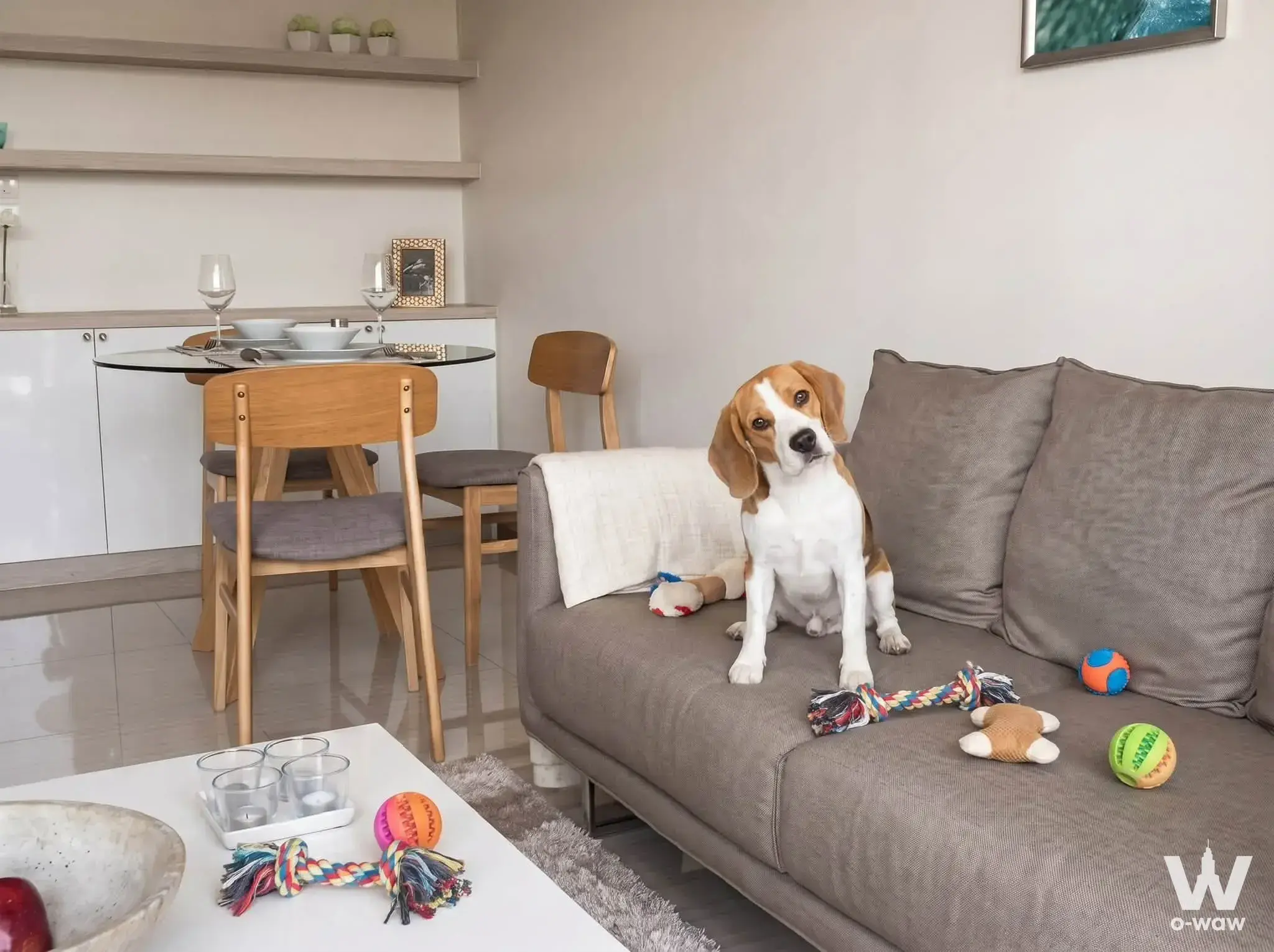 Sukhumvit Soi 49/12, near BTS Thong Lo and BTS Phrom Phong
