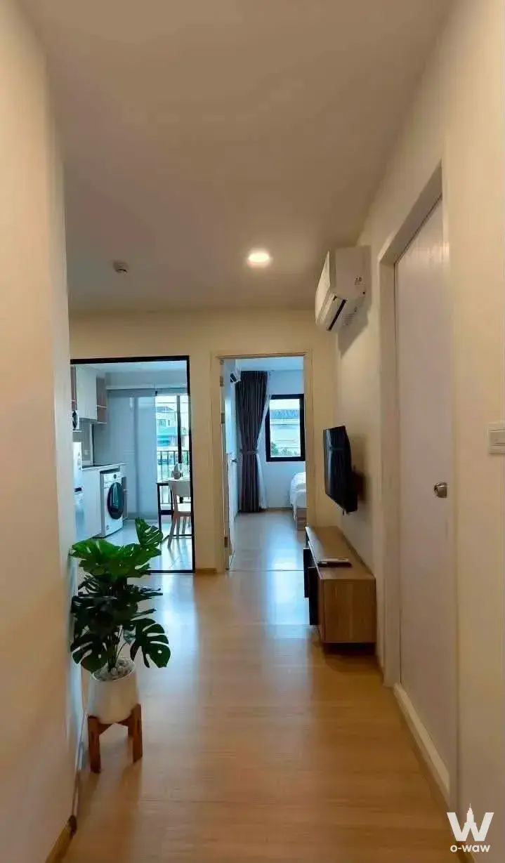 Condo with 1 bedroom for rent at Chewathai Hallmark Ladprao - Chokchai 4 Phase 2 — photo 5 of 5