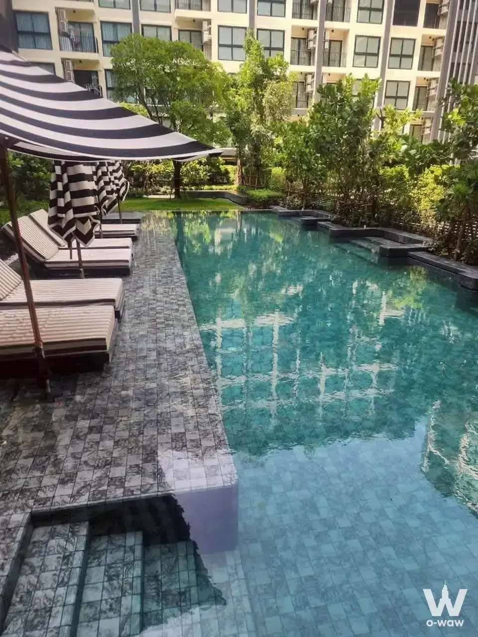 Luxury 1-bed condo for rent in ARLO Sukhumvit 105 Lasalle with turquoise lap pool and tropical landscaping