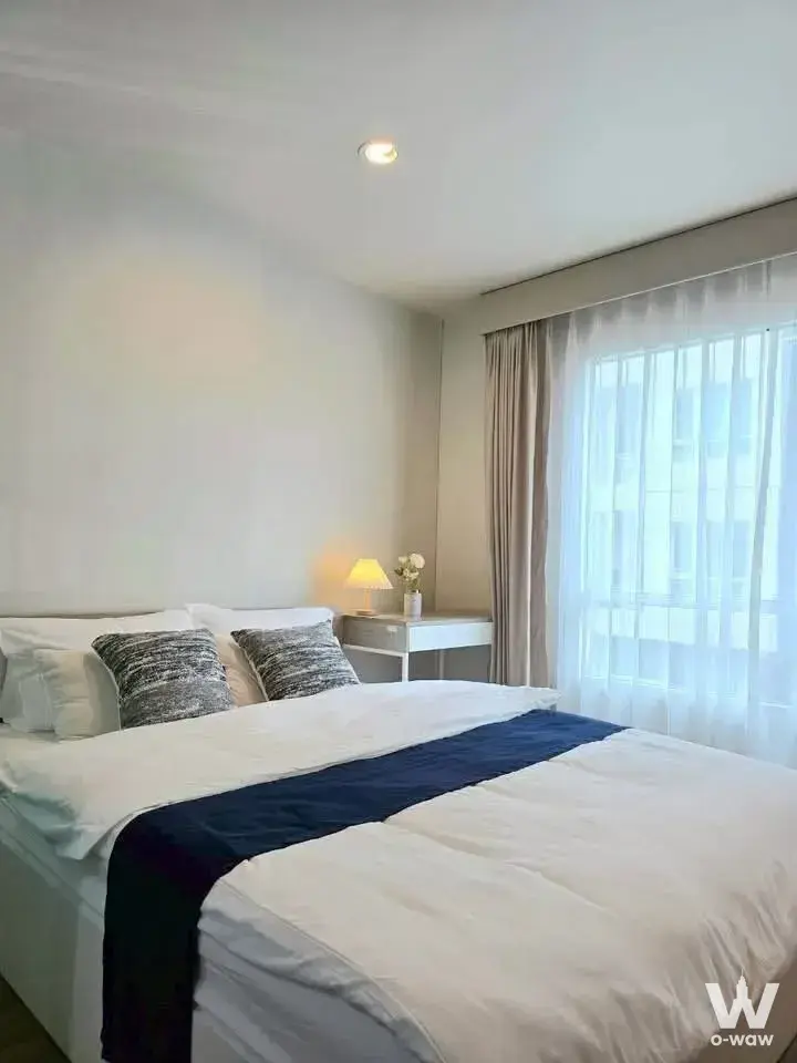 Condo with 1 bedroom for rent at Regent Home Sukhumvit 81 (รีเจนท์ โฮม สุขุมวิท 81) — photo 4 of 5