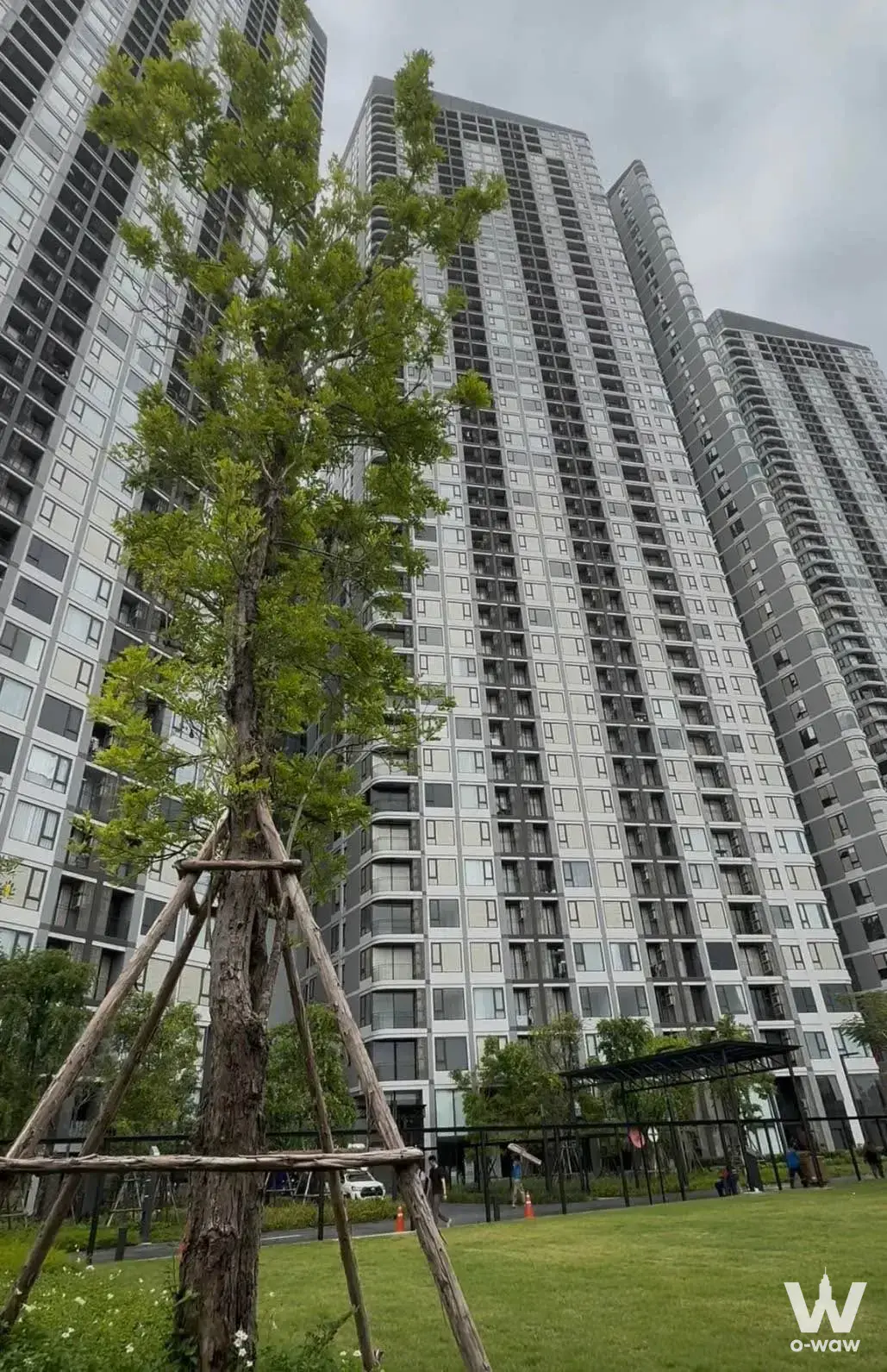 Condo with 2 bedrooms for rent at Skyrise Avenue Sukhumvit 64 — photo 1 of 5