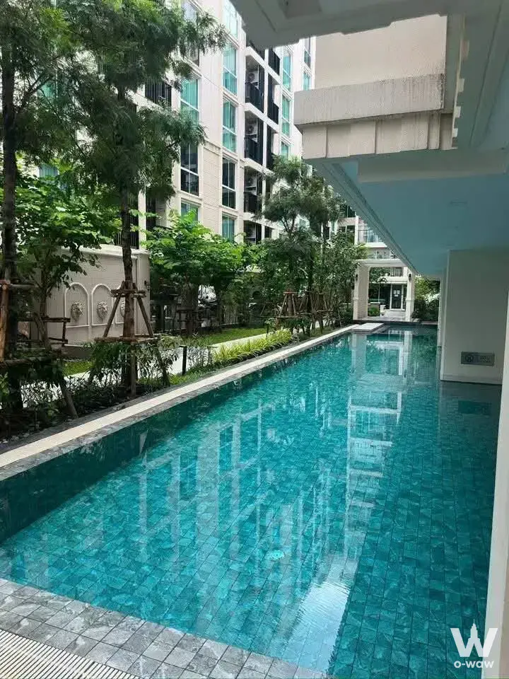 Near Kasetsart University, Ratchayothin, Bangkok