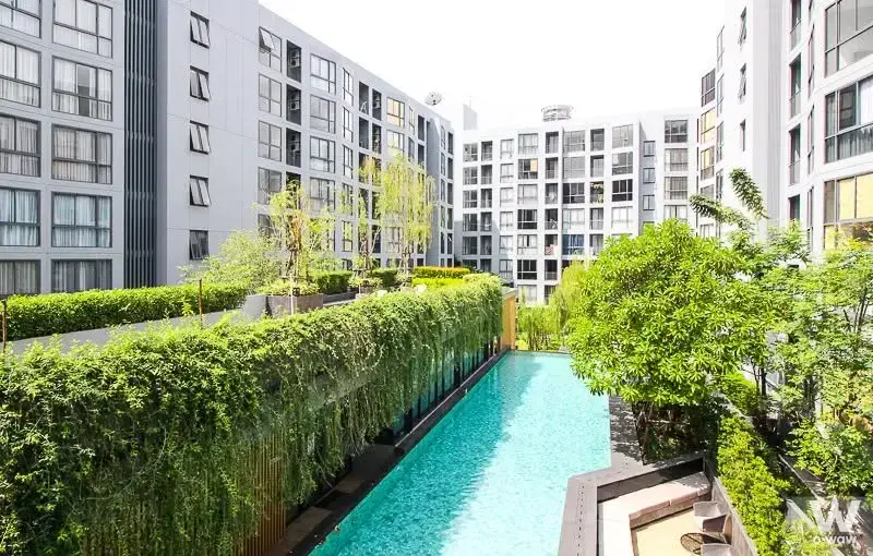 Condo with 1 bedroom for rent at The Nest Sukhumvit 71 — photo 1 of 5